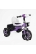 Велосипед 3-х колісний BS-27102 "Best Trike" колеса EVA переднє 12", заднє 10", сталева рама, фара з музикою та світлом, кошик, в коробці
