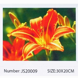 Алмазна мозаїка JS 20009 (50) TK Group, "Квіти", 30х20 в коробці