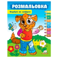 Розмальовка "Фарбуй по цифрах" (собака) 9786178357696 (50) "Пегас"