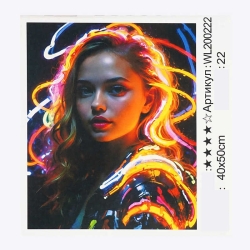 Картина за номерами WL 200222 (30) WToys, 40х50 см, світиться у темряві, в коробці