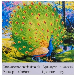 Картина за номерами + Алмазна мозаїка 2в1 YHDGJ 72017 (30) TK Group, 50х40см, в коробці