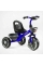 Велосипед 3-х колісний BS-12530 "Best Trike" (1) колеса EVA переднє 12’’, заднє 10’’, сталева рама, фара з музикою та світлом, 1 пісня українською та 2 англійською, 2 кошики, в коробці