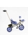 Велосипед 3-х колісний BS-70362 "Best Trike" колеса EVA переднє 10", заднє 8", сталева рама, УКР. ОЗВУЧУВАННЯ, батьківська ручка, в коробці