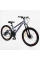 Велосипед Спортивний Corso 24" дюйми RIDER RD-24120