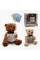 Ведмедик казкар 31515 (16/2) 2 види, "WToys", ОЗВУЧУВАННЯ УКРАЇНСЬКОЮ МОВОЮ, 15 аудіоказок, 5 карток із казками, скоромовки та звукові ефекти, рухливий ротик, кнопки на лапках, в коробці