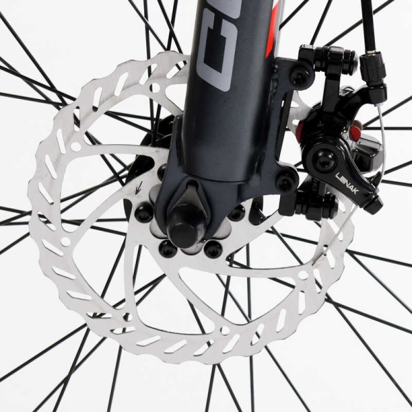 Велосипед Спортивний Corso 29" дюймів ALPHA LF-29815