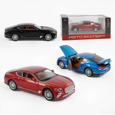Машина TX 41120 (48/2) "Авто Експерт", 3 види, металопластик, масштаб 1:22, світло, звук, інерція, відчиняються двері, багажник та капот,в коробці, ВИДАЄТЬСЯ МІКС ВИДІВ