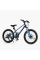 Дитячий спортивний велосипед 20" дюймів Corso Next NX-20110