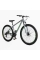 Велоcипед Спортивний Corso NEW NITRO 29" дюймів NT-24032
