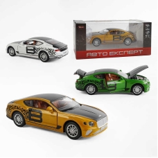 Машина TX 10355 (48/2) "Авто Експерт", 3 кольори, металопластик, масштаб 1:22, світло, звук, інерція, відчиняються двері, багажник та капот, в коробці, ВИДАЄТЬСЯ ТІЛЬКИ МІКС ВИДІВ