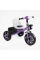 Велосипед 3-х колісний BS-27102 "Best Trike" колеса EVA переднє 12", заднє 10", сталева рама, фара з музикою та світлом, кошик, в коробці