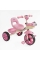Велосипед 3-х колісний BS-60725 "Best Trike" колеса EVA переднє 10", заднє 8", сталева рама, УКР. ОЗВУЧУВАННЯ, кошик, в коробці