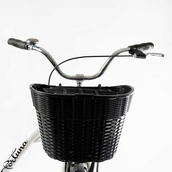 Велосипед міський Corso FORTUNA 28" FR-28006 + КОШИК