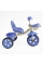 Велосипед 3-х колісний BS-60811 "Best Trike" колеса EVA переднє 10", заднє 8", сталева рама, УКР. ОЗВУЧУВАННЯ, кошик, в коробці