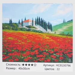 Картини за номерами HCEG 30796 (30)  TK Group, "Макове поле", 40*30см, в коробці