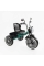 Велосипед 3-х колісний BS-65010 "Best Trike" (1) колеса EVA переднє 10’’, заднє 8’’, сталева рама, УКР. ОЗВУЧУВАННЯ, кошик, в коробці