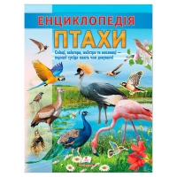 Енциклопедія "Птахи" 9786178638344 (20) "Пегас", 32 сторінки